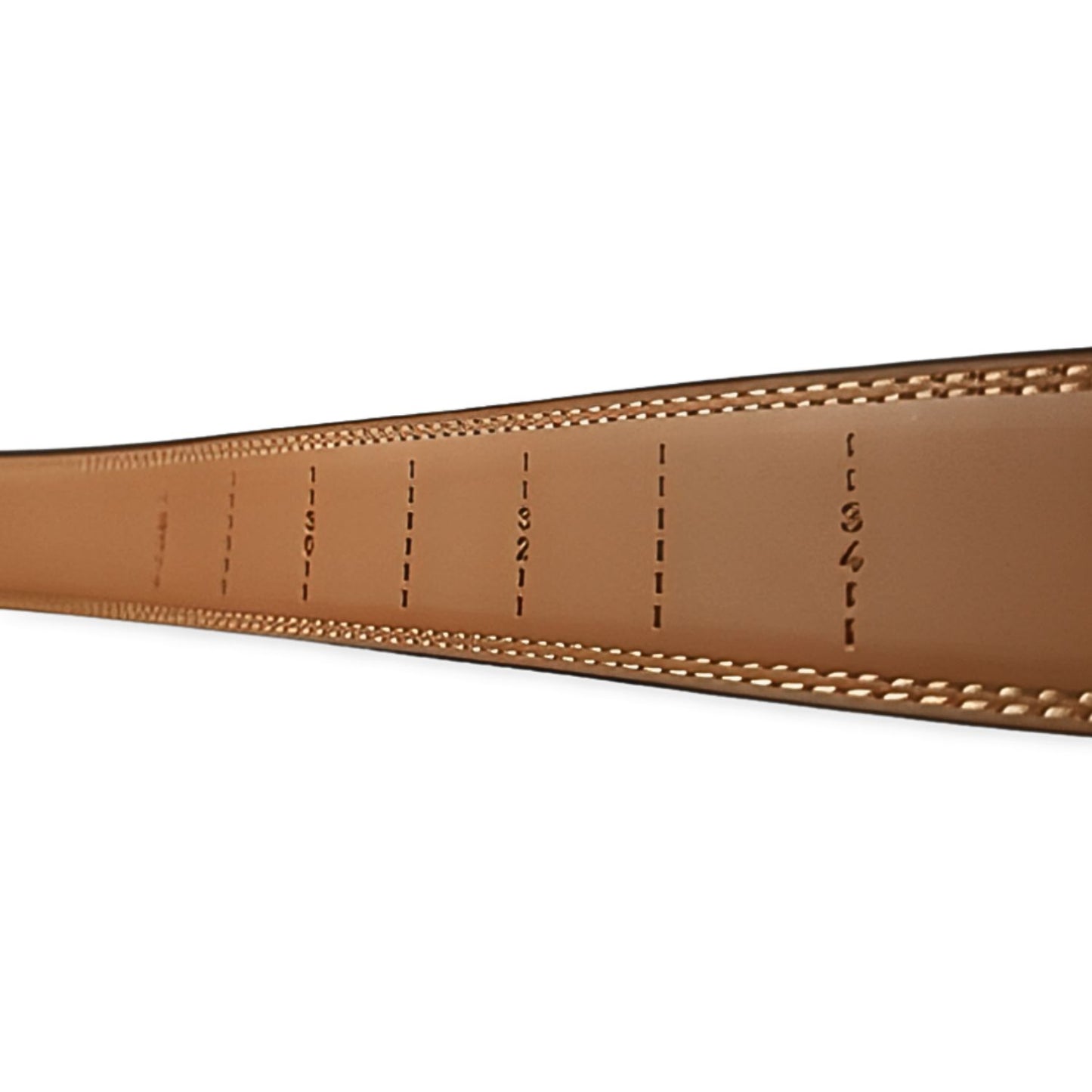 dreambelt | daily