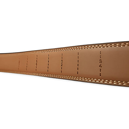 dreambelt | business